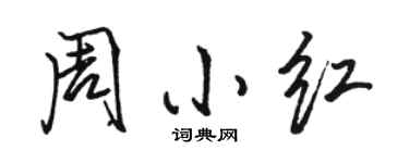 駱恆光周小紅行書個性簽名怎么寫