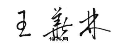 駱恆光王華林草書個性簽名怎么寫