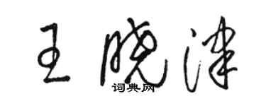 駱恆光王曉津草書個性簽名怎么寫