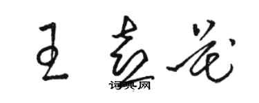 駱恆光王喜花草書個性簽名怎么寫