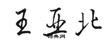 駱恆光王亞北行書個性簽名怎么寫