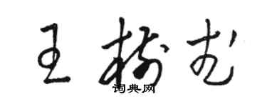 駱恆光王樹武草書個性簽名怎么寫