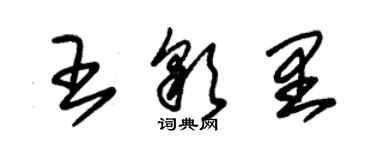 朱錫榮王彩里草書個性簽名怎么寫