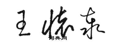 駱恆光王懷泰草書個性簽名怎么寫