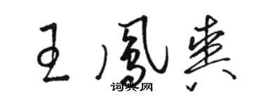 駱恆光王鳳爽草書個性簽名怎么寫