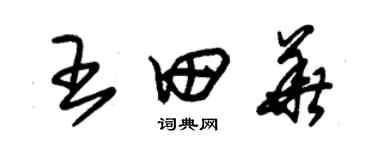 朱錫榮王田華草書個性簽名怎么寫