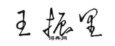 駱恆光王振里草書個性簽名怎么寫