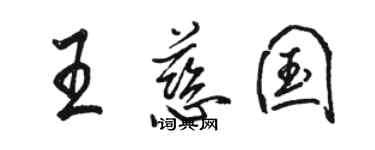 駱恆光王慈國行書個性簽名怎么寫
