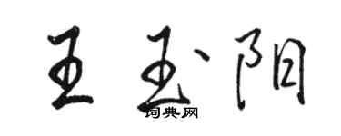 駱恆光王玉陽行書個性簽名怎么寫