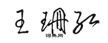 駱恆光王珊紅草書個性簽名怎么寫