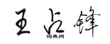 駱恆光王占鋒行書個性簽名怎么寫