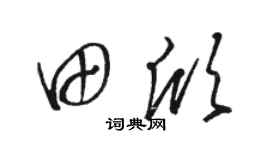 駱恆光田欣草書個性簽名怎么寫