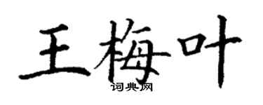 丁謙王梅葉楷書個性簽名怎么寫