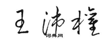 駱恆光王沛權草書個性簽名怎么寫