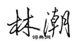 駱恆光林潮行書個性簽名怎么寫