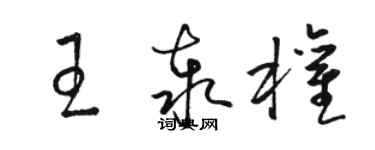 駱恆光王泰權草書個性簽名怎么寫