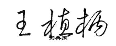 駱恆光王植柄草書個性簽名怎么寫