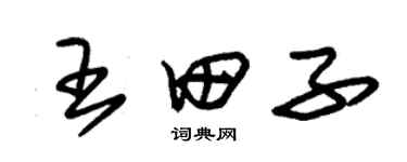 朱錫榮王田子草書個性簽名怎么寫