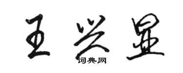 駱恆光王興顯行書個性簽名怎么寫