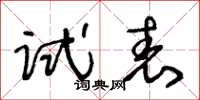 王冬齡試表草書怎么寫