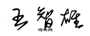 朱錫榮王智雄草書個性簽名怎么寫
