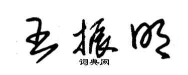 朱錫榮王振明草書個性簽名怎么寫