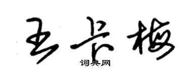 朱錫榮王卡梅草書個性簽名怎么寫