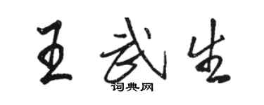 駱恆光王武生行書個性簽名怎么寫