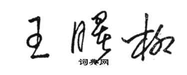 駱恆光王曙柳草書個性簽名怎么寫