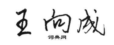 駱恆光王向成行書個性簽名怎么寫
