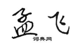 駱恆光孟飛行書個性簽名怎么寫