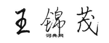 駱恆光王錦茂行書個性簽名怎么寫