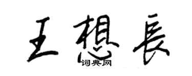 王正良王想長行書個性簽名怎么寫