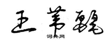 曾慶福王葦麗草書個性簽名怎么寫