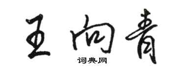 駱恆光王向青行書個性簽名怎么寫