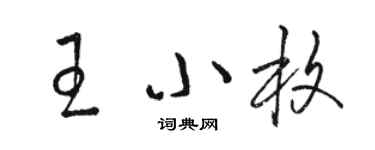 駱恆光王小枚草書個性簽名怎么寫