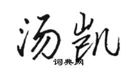 駱恆光湯凱行書個性簽名怎么寫