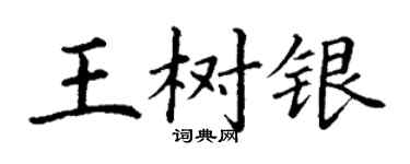 丁謙王樹銀楷書個性簽名怎么寫