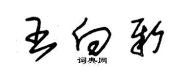 朱錫榮王向新草書個性簽名怎么寫