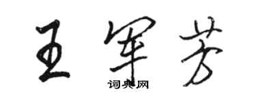 駱恆光王軍芳行書個性簽名怎么寫