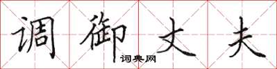 田英章調御丈夫楷書怎么寫
