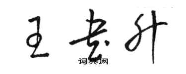 駱恆光王書升草書個性簽名怎么寫