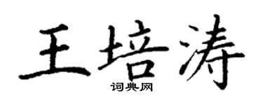 丁謙王培濤楷書個性簽名怎么寫