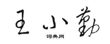 駱恆光王小勤草書個性簽名怎么寫