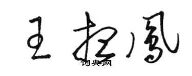 駱恆光王想鳳草書個性簽名怎么寫