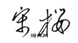 駱恆光宋櫻草書個性簽名怎么寫