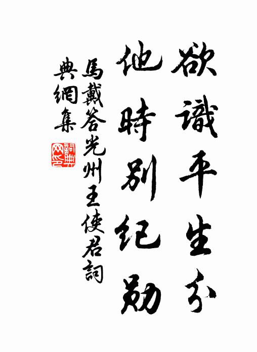 洶湧灘聲朝雨後，參差岩影夕陽間 詩詞名句