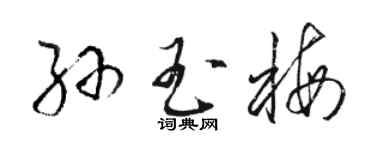駱恆光孫玉梅草書個性簽名怎么寫