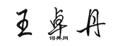 駱恆光王卓丹行書個性簽名怎么寫