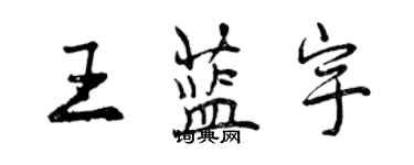 曾慶福王藍宇行書個性簽名怎么寫